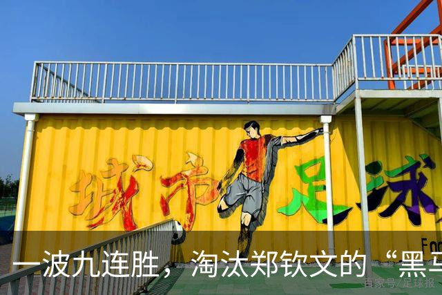 一波九连胜，淘汰郑钦文的“黑马”闯入法网决赛创造历史，曾患抑郁症，不得不远离赛场