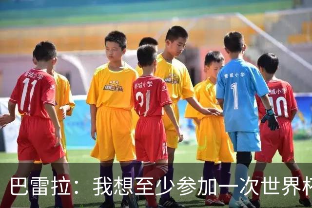 巴雷拉：我想至少参加一次世界杯；可以想象在国米退役
