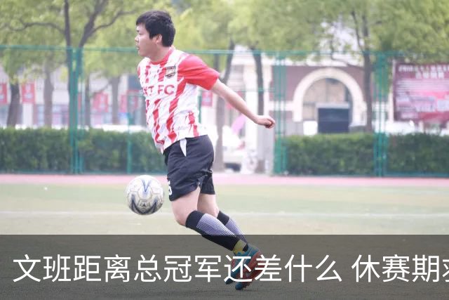 文班距离总冠军还差什么 休赛期救赎从增重开始？