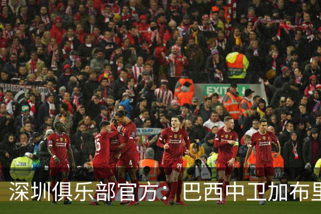 深圳俱乐部官方：巴西中卫加布里埃尔加盟