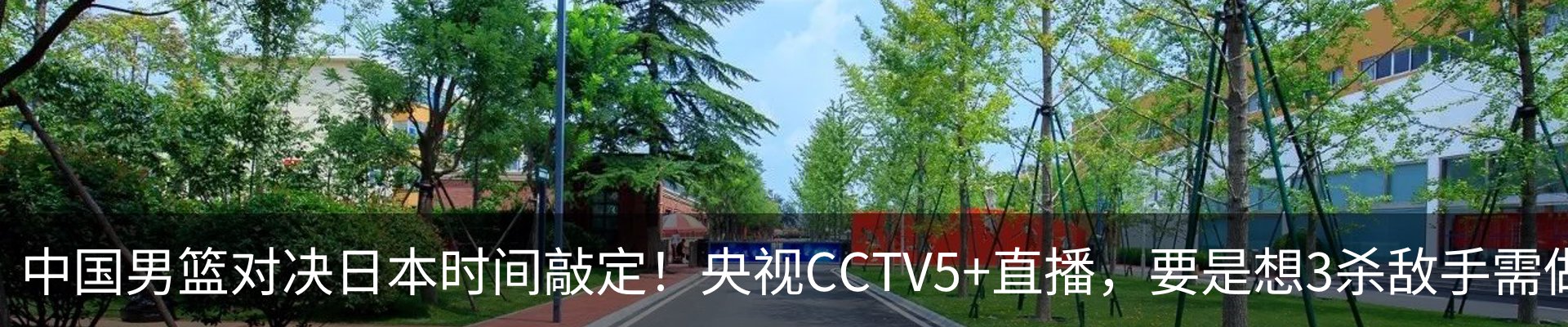 最新动态