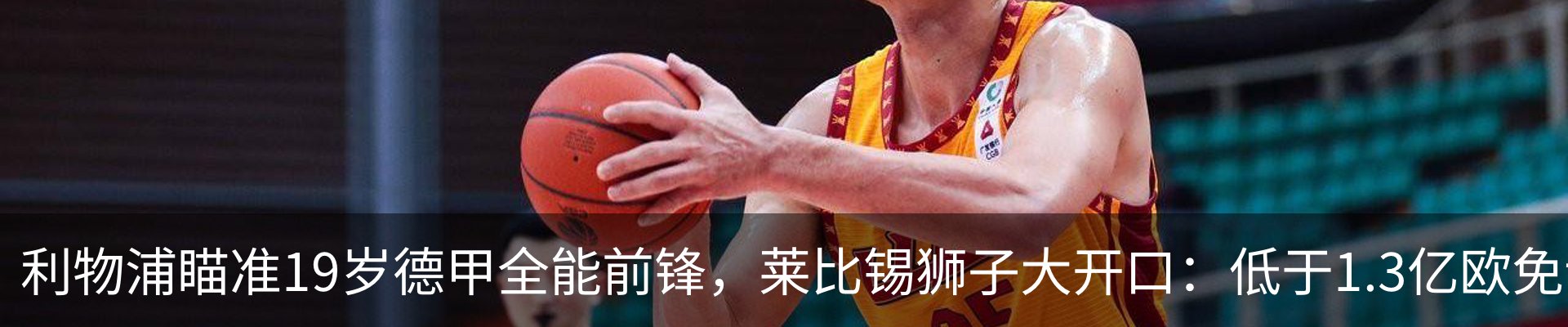 最新动态