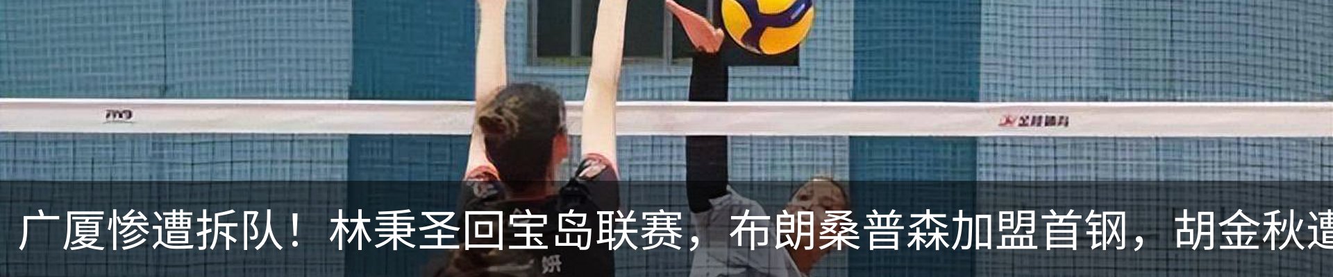 最新动态