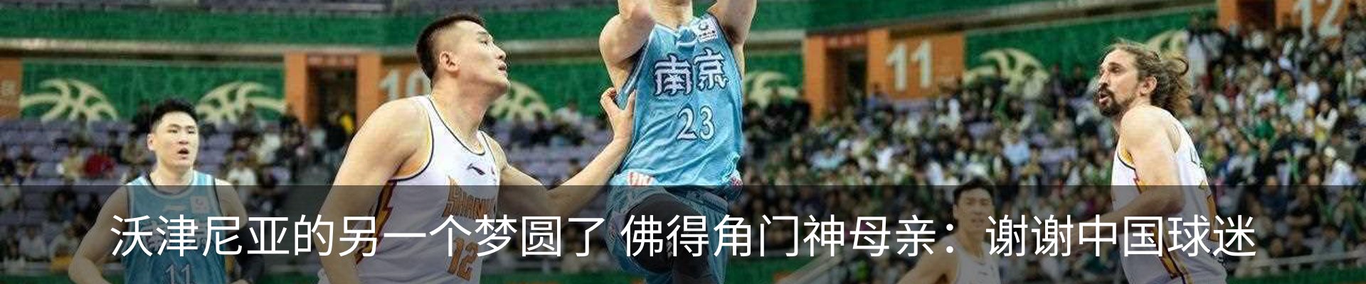 最新动态