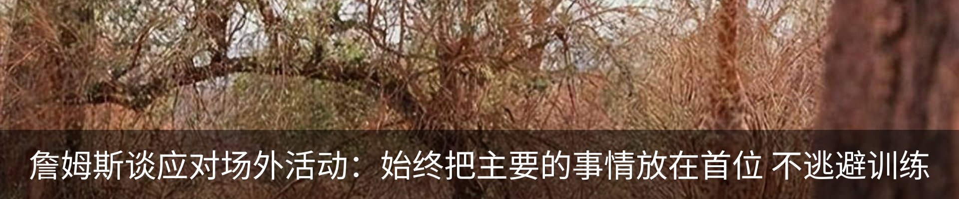 最新动态