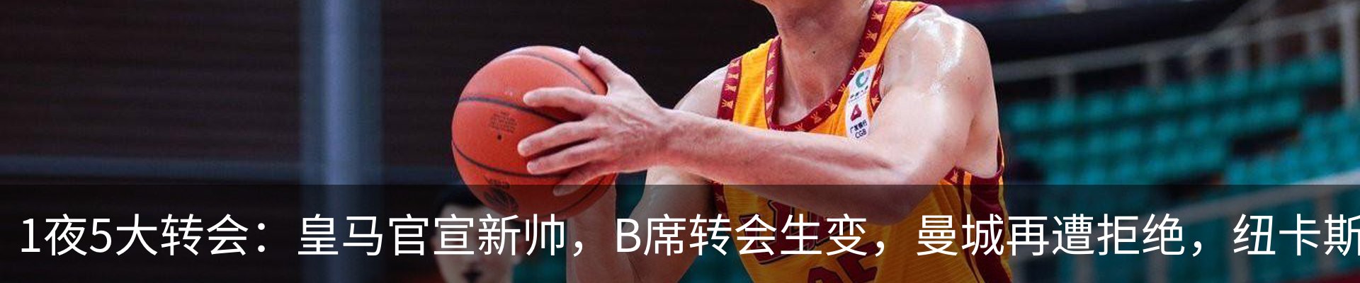 最新动态